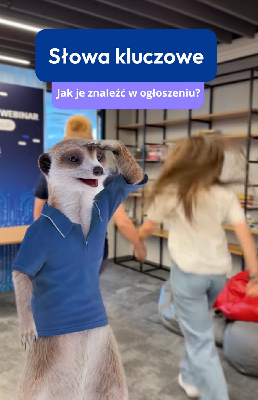 Kadr z filmu Pracuj.pl — maskotka surykatki w biurze coworkingowym, napisy „Słowa kluczowe” i „Jak je znaleźć w ogłoszeniu?”