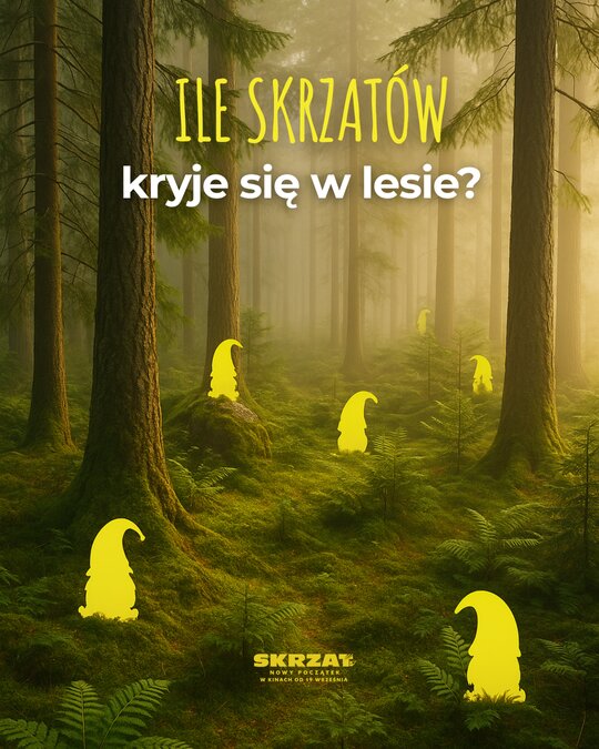 Grafika promocyjna „Ile skrzatów kryje się w lesie?” — sylwetki skrzatów ukryte w słonecznym lesie