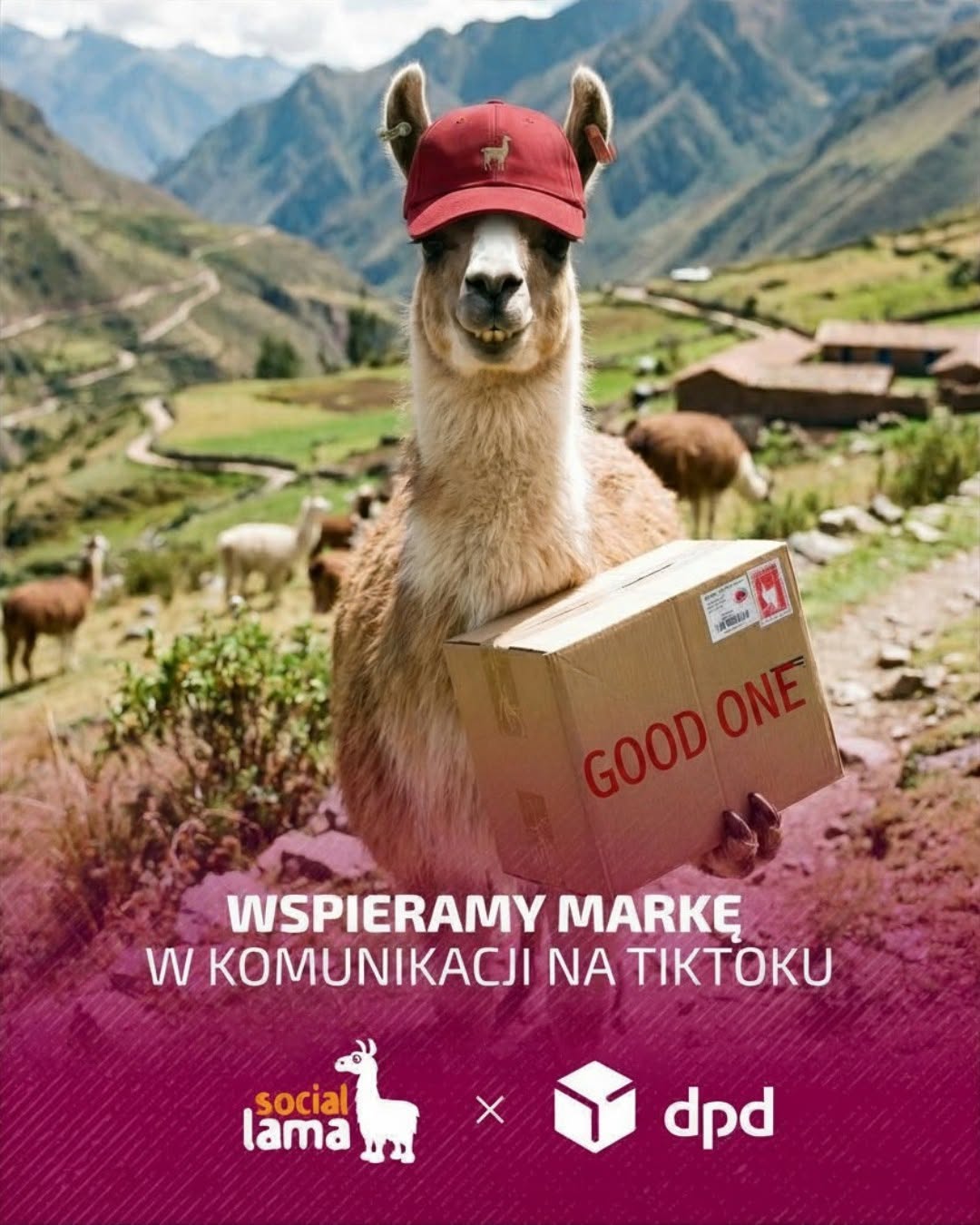 Social Lama × DPD creative — a llama holding a parcel in Andean scenery